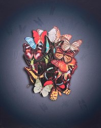 Enlightenment by Nuala Mulligan - Lenticular sized 24x30 inches. Available from Whitewall Galleries