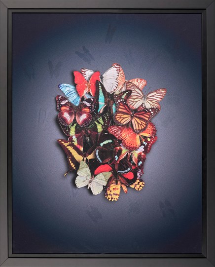 Enlightenment by Nuala Mulligan - Framed Lenticular
