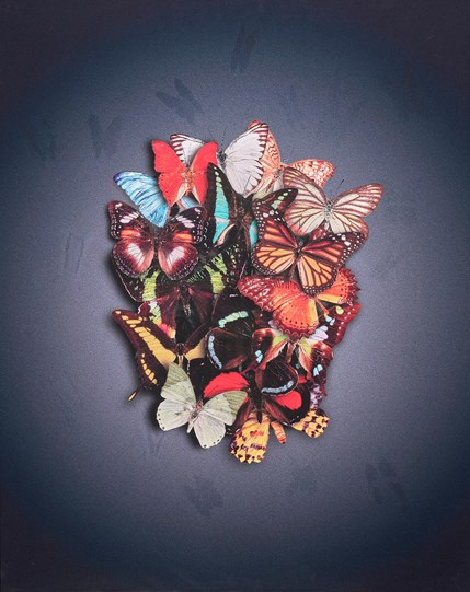 Enlightenment by Nuala Mulligan - Lenticular